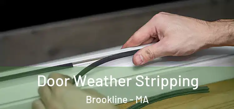 Door Weather Stripping Brookline - MA