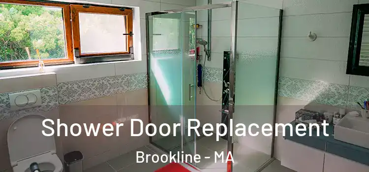 Shower Door Replacement Brookline - MA